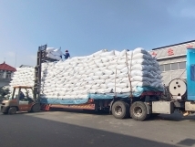 把握機(jī)遇、鉚足干勁、承勢而上