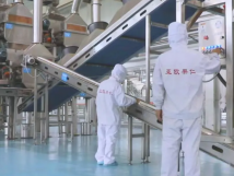 2025年的第一個(gè)月，承德亞歐果仁有限公司在山杏產(chǎn)業(yè)的道路上持續(xù)奮進(jìn)，展現(xiàn)出蓬勃的發(fā)展活力。